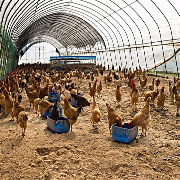上半年畜禽及畜禽产品兽药残留监控结果